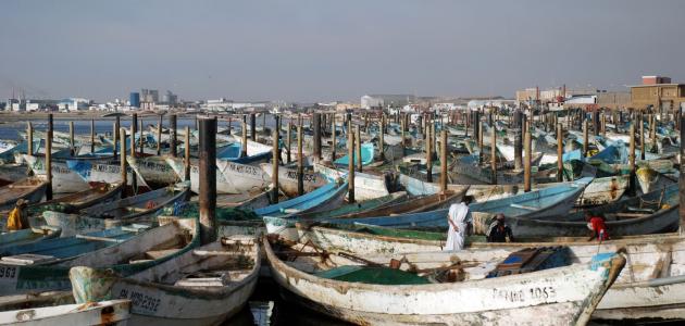 أين تقع مدينة نواذيبو أين تقع مدينة نواذيبو