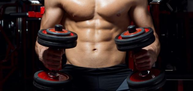 معلومات عن تمارين كمال الأجسام معلومات عن تمارين كمال الأجسام