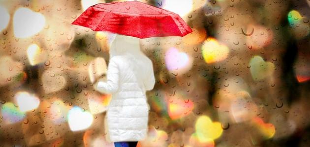 حكم عن فراق الصديق حكم عن فراق الصديق