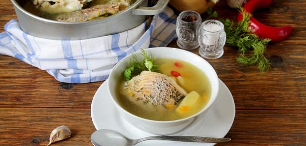 أطعمة حمضية أطعمة حمضية