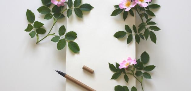 أجمل أشعار الحب والرومانسية أجمل أشعار الحب والرومانسية