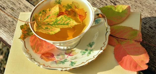 أشعار الوفاء أشعار الوفاء