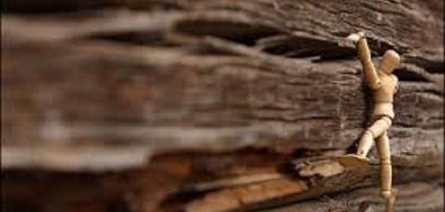 كيف تحلم بما تريد ظƒظٹظپ_طھطظ„ظ…_ط¨ظ…ط§_طھط±ظٹط¯.jpg