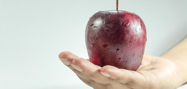 أطعمة لتهدئة القولون أطعمة لتهدئة القولون