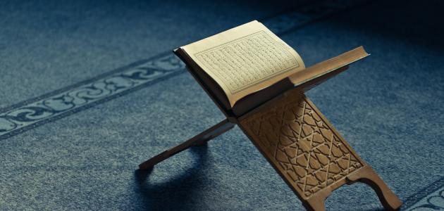 كيفية تدارس السنة وفهمها كيفية تدارس السنة وفهمها