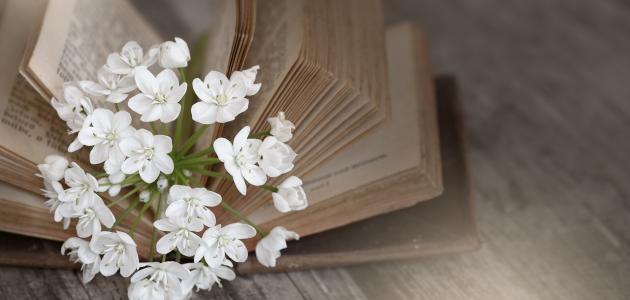 أقوال مارتن لوثر أقوال مارتن لوثر