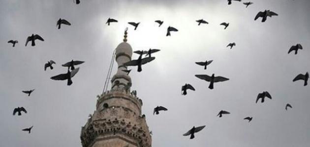 ماذا يفعل المهموم ماذا يفعل المهموم
