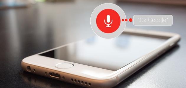 Way voice search in Google