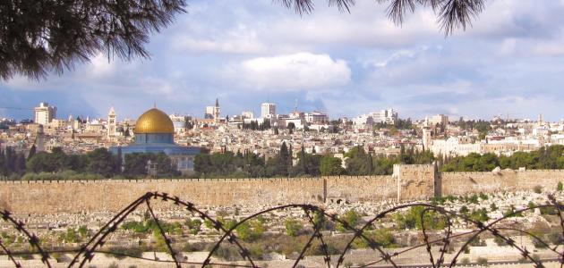 أكبر مدينة فلسطينية أكبر مدينة فلسطينية