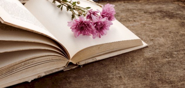 كتاب العمل الجماعي لإبراهيم الفقي صورة مقال كتاب العمل الجماعي لإبراهيم الفقي
