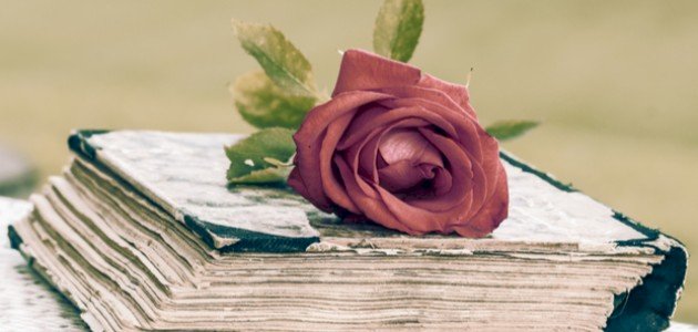 صورة مقال أبيات شعر عن الإخلاص