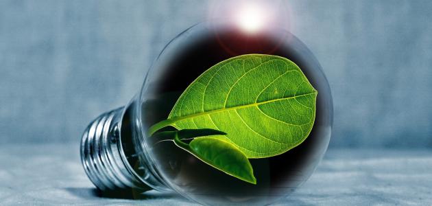 عناصر الابتكار صورة مقال عناصر الابتكار