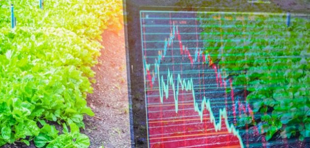 علاقة الأمن الغذائي بالاقتصاد صورة مقال علاقة الأمن الغذائي بالاقتصاد