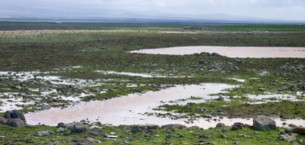 صورة مقال أسماء السهول الفيضية في الوطن العربي