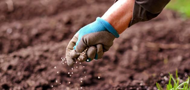 فوائد أسمدة السكريات الكحولية للنبات صورة مقال فوائد أسمدة السكريات الكحولية للنبات