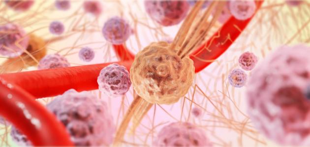 تاريخ ظهور علم الأنسجة صورة مقال تاريخ ظهور علم الأنسجة