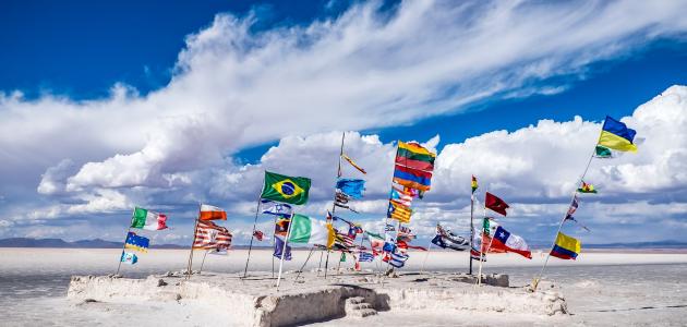 ما هي الدول الحلفاء؟ - موضوع