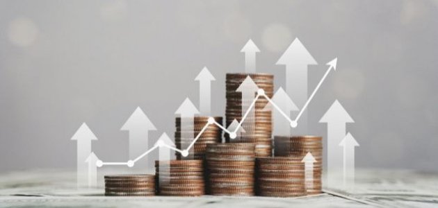 تعريف المردودية المالية صورة مقال تعريف المردودية المالية