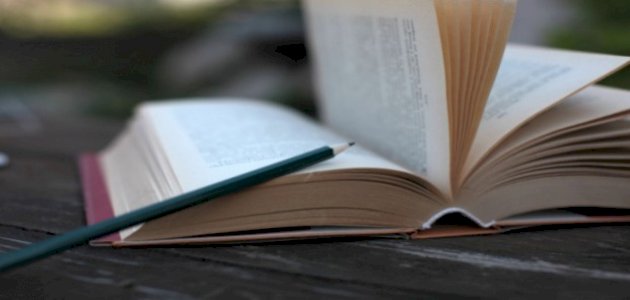 الانتقادات التي وجهت للمنهج البنيوي صورة مقال الانتقادات التي وجهت للمنهج البنيوي