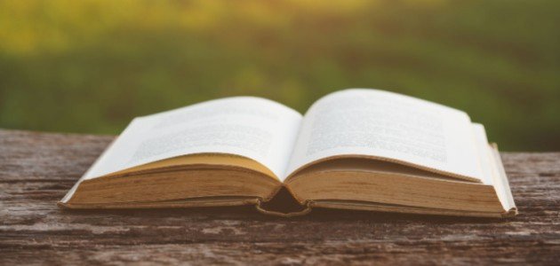 كتاب اللسانيات وأسسها المعرفية صورة مقال كتاب اللسانيات وأسسها المعرفية