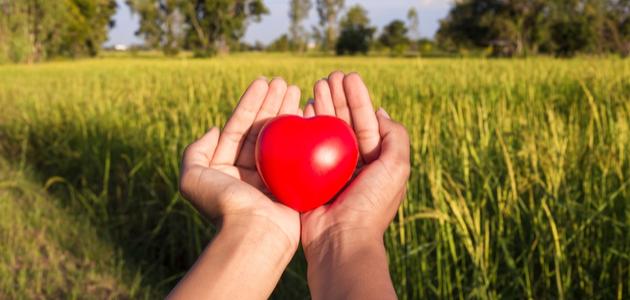 واجبنا نحو الوطن في الإسلام صورة مقال واجبنا نحو الوطن في الإسلام