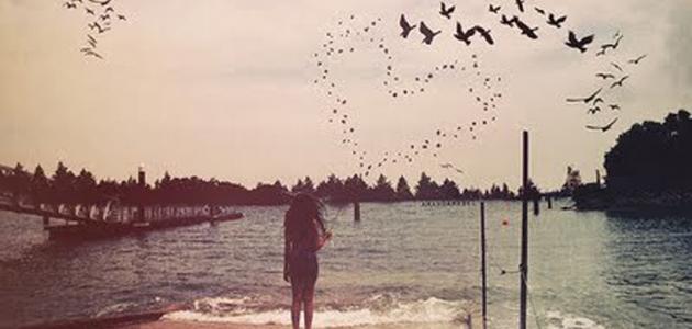 ���� ���� 