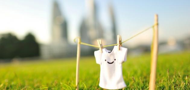 ����� ��������� 