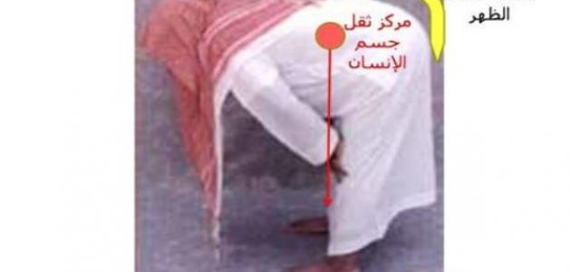 فوائد الصلاة للجسم _الصلاة_للجسم