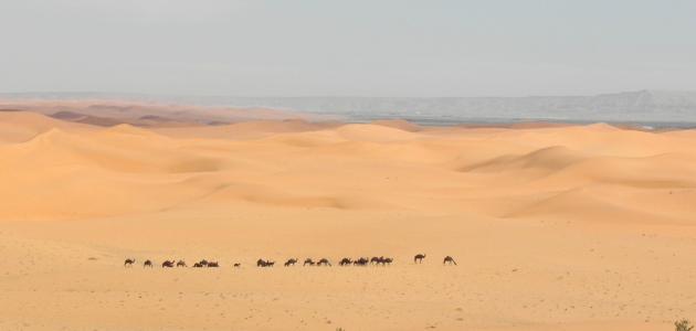 أين تقع صحراء الدهناء