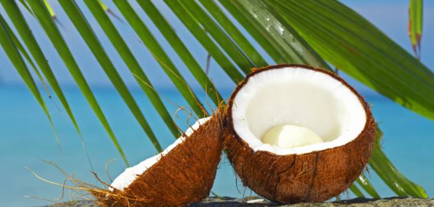 اهمية الهند