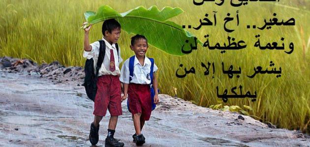 ���� ���� ���� ����� 