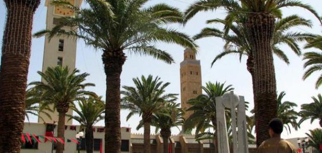 أين تقع مدينة وجدة أين تقع مدينة وجدة