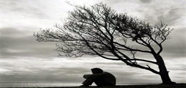 ���� ���� �� ����� ������� 