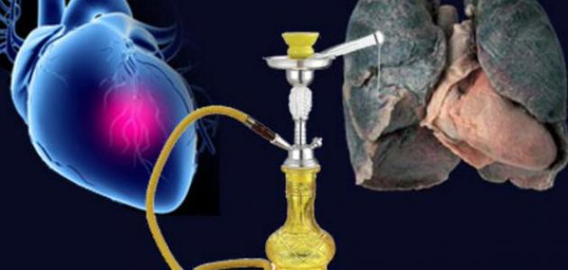 الشيشة