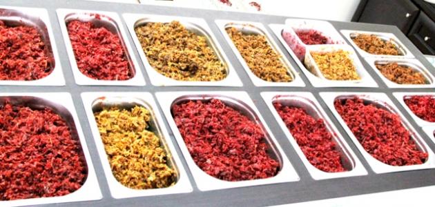 ���� ���� ������ �� ���� ������