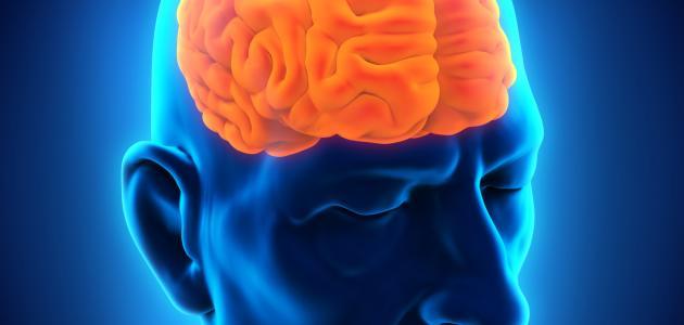 نقره لعرض الصورة في صفحة مستقلة