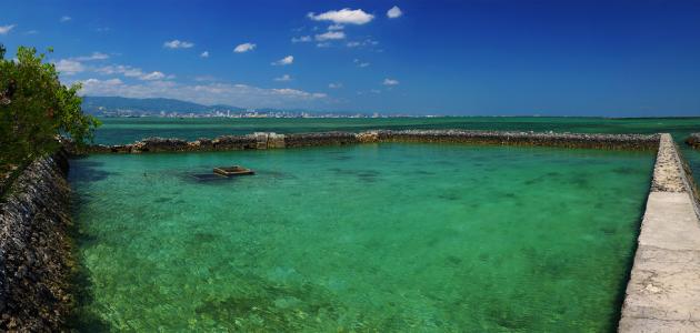 ������ ��� ������� 