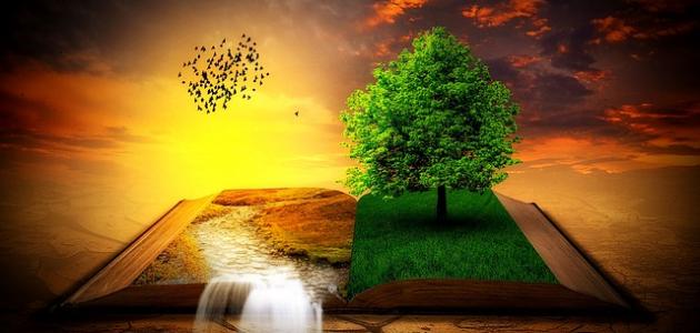 أقوال وعبر في الحياة أقوال وعبر في الحياة