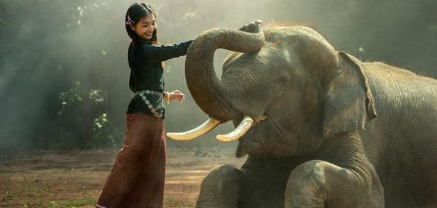 ������ �� ������� ����� 